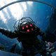 Illustration for article titled Aquariums Make The Best BioShock Cosplay Settings